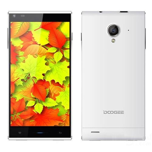 DOOGEE DAGGER DG550 Smartphone 5.5 inch HD OGS Screen MTK6735 Octa-Core Android 11.0 - White - Click Image to Close