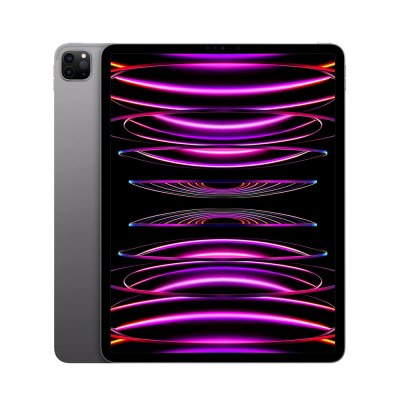 Apple 2022 11-inch iPad Pro (Wi-Fi + Cellular) - Unlocked (4th Generation)
