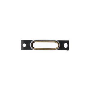 iPhone 12 Pro Max Lightning Port Bezel - Gold